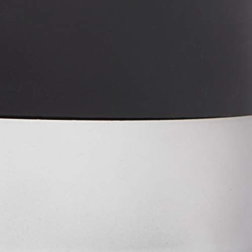 FIZZICS FZ403 DraftPour Beer Dispenser - Converts Any Can or Standard, Carbon