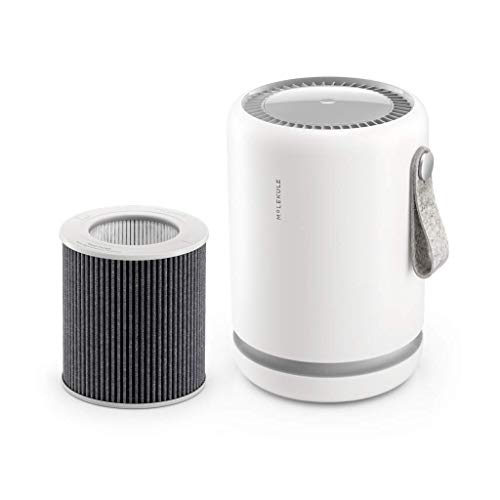 Molekule Air Mini & Mini+ – PECO-Filter, White