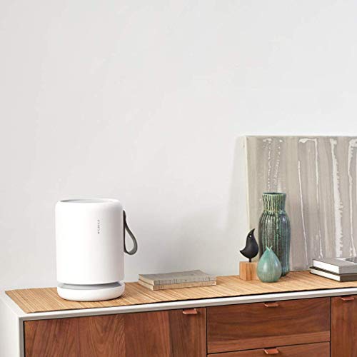 Molekule Air Mini Small Room Size Coverage - up to 250 sq. ft., White