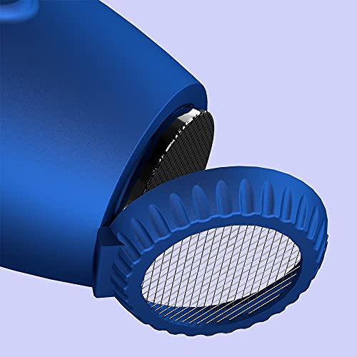 Professional Light Weight Hair Dryer with Diffuser Negative Ionic Large, Blue