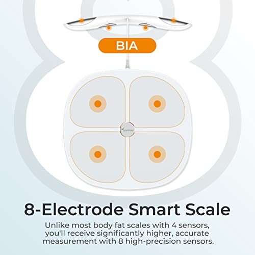 Smart Body Scale 28WBL