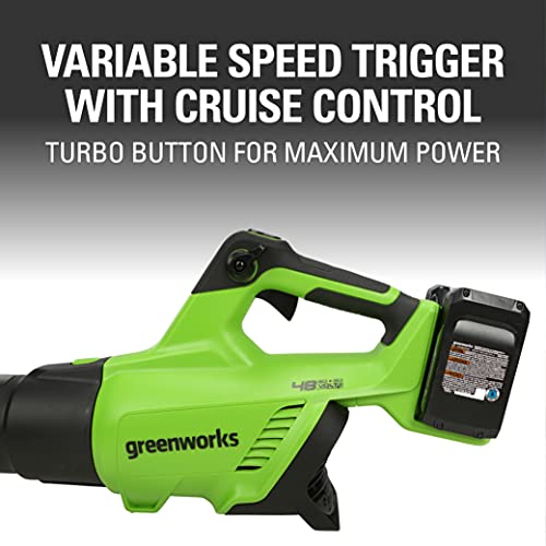 Greenworks 48V (2 x 24V) Cordless Axial Blower (125 MPH 2*2Ah Battery, Green