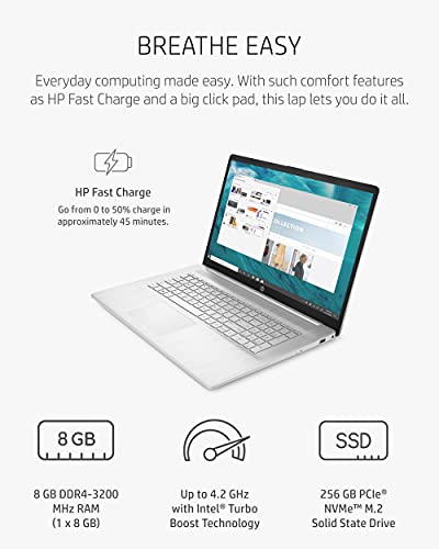 HP 17 Laptop, 11th Gen Intel Core i5-1135G7, 8 GB 17.3-inch, Natural Silver