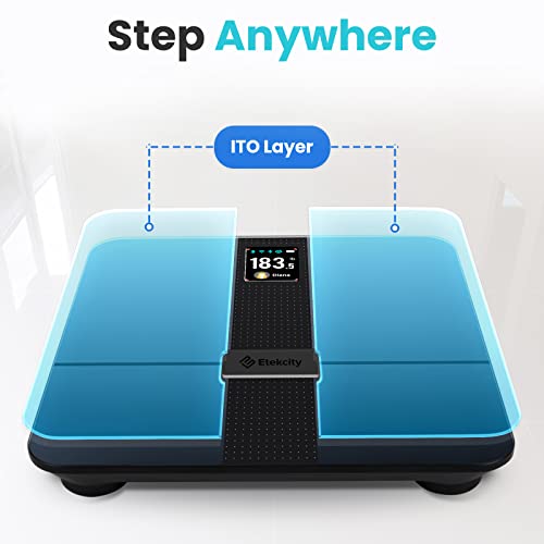 Etekcity Smart WiFi Body Fat Scale, FSA HSA Approved Accurate Dark Blue