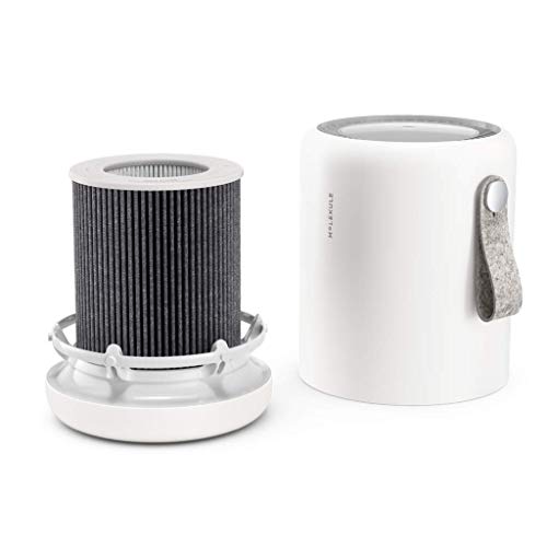 Molekule Air Mini & Mini+ – PECO-Filter, White