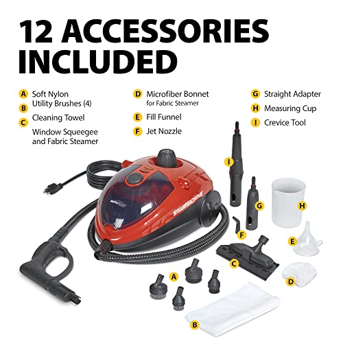 Wagner Spraytech C900054 905e AutoRight Multi-Purpose Steam 905 Steam, Red