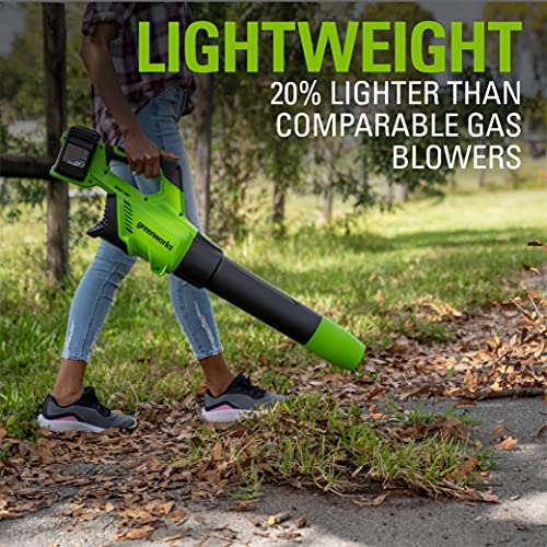 Greenworks 48V (2 x 24V) Cordless Axial Blower (125 MPH 2*2Ah Battery, Green