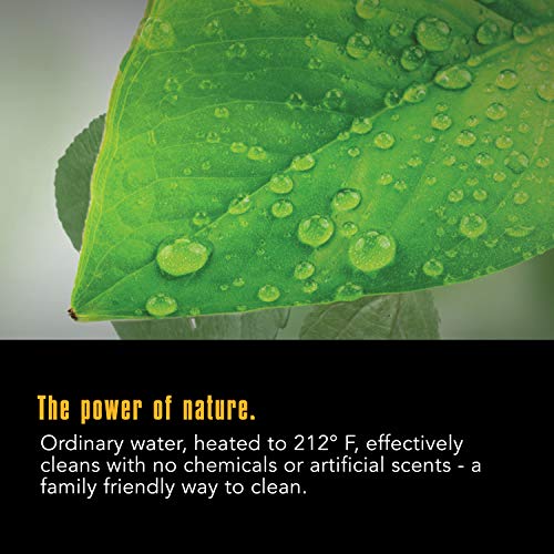 McCulloch MC1375 Canister Steam Cleaner with 20 Accessories, 1-(Pack), Black