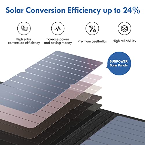 BigBlue 28W SunPower Solar Panel with Digital Ammeter, Portable Black