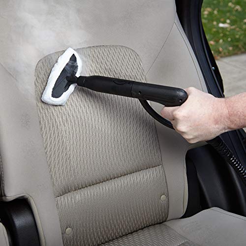 Wagner Spraytech C900054 905e AutoRight Multi-Purpose Steam 905 Steam, Red