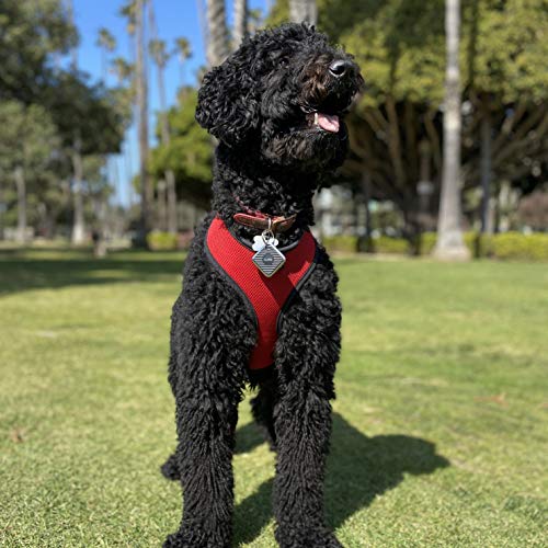 Cube Pro Key Finder Smart Tracker Bluetooth for Dogs, Kids, Cats,...