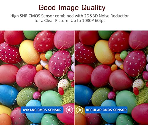 AVKANS NDI Camera, 20X Optical PTZ Camera with Simultaneous Black