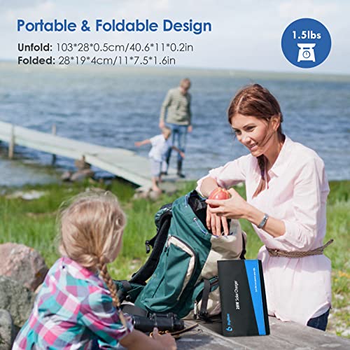 BigBlue 28W SunPower Solar Panel with Digital Ammeter, Portable Black