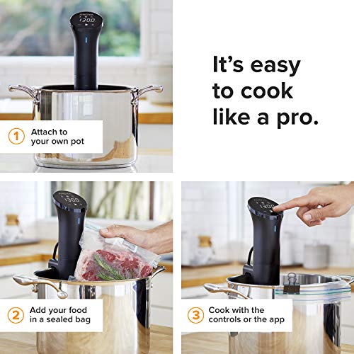 Anova Culinary AN400-US00 Nano Sous Vide 12.8" x 2.2" x 4.1", Silver