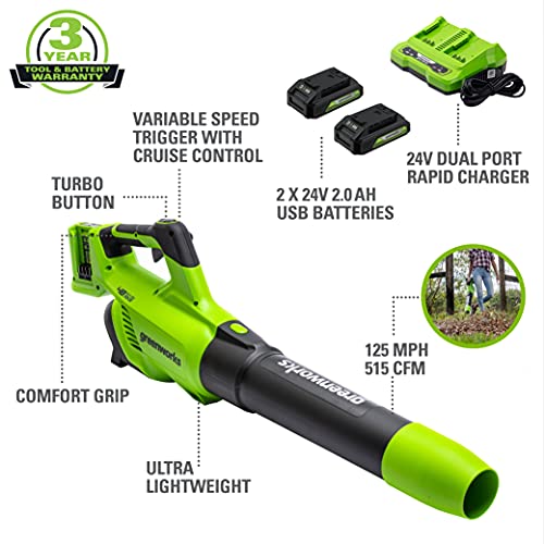 Greenworks 48V (2 x 24V) Cordless Axial Blower (125 MPH 2*2Ah Battery, Green