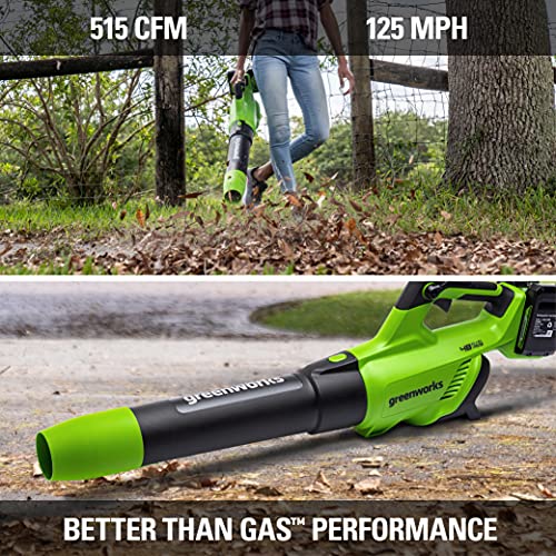 Greenworks 48V (2 x 24V) Cordless Axial Blower (125 MPH 2*2Ah Battery, Green