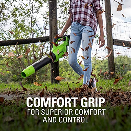 Greenworks 48V (2 x 24V) Cordless Axial Blower (125 MPH 2*2Ah Battery, Green