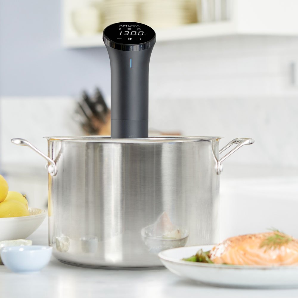 Anova Bluetooth Precision Cooker: Learn how to sous vide at home