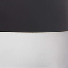 Load image into Gallery viewer, FIZZICS FZ403 DraftPour Beer Dispenser - Converts Any Can or Standard, Carbon