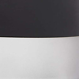 FIZZICS FZ403 DraftPour Beer Dispenser - Converts Any Can or Standard, Carbon