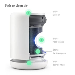 Molekule Air Mini & Mini+ – and Mini+, White