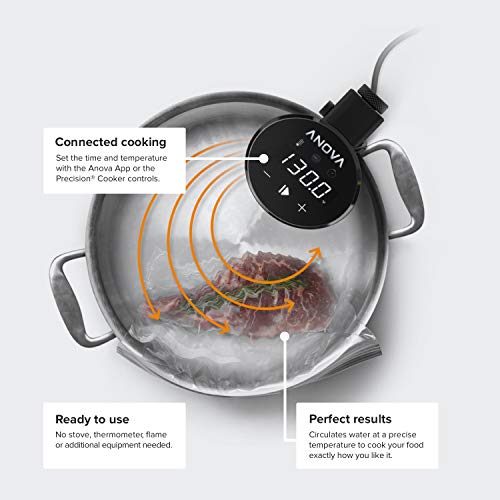 Anova Culinary AN500-US00 1000 Watts | App Included, Black and Silver