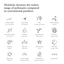 Load image into Gallery viewer, Molekule Air-PECO Filter, White Air,
