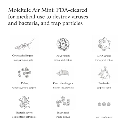 Molekule Air Mini & Mini+ – and Mini+, White