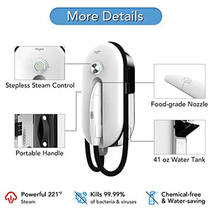 DAYOO Portable Steam Cleaner Chemical-free - 10s Standard Version, White