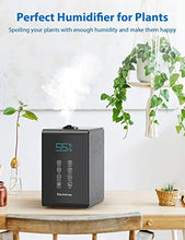 Load image into Gallery viewer, Elechomes SH8820 Humidifiers, 5.5L Top Fill Warm and Cool 5.5 Liter, Black