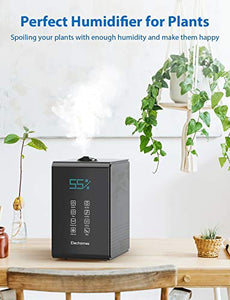 Elechomes SH8820 Humidifiers, 5.5L Top Fill Warm and Cool 5.5 Liter, Black