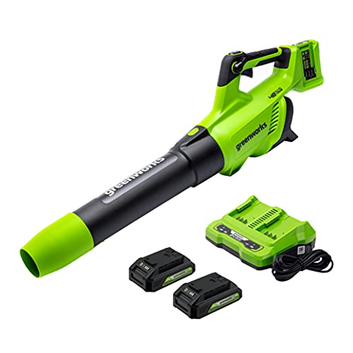 Greenworks 48V (2 x 24V) Cordless Axial Blower (125 MPH 2*2Ah Battery, Green