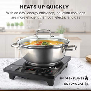 Duxtop Portable Induction Cooktop, Countertop Burner, 1800W, Black