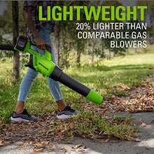 Load image into Gallery viewer, Greenworks 48V (2 x 24V) Cordless Axial Blower (125 MPH 2*2Ah Battery, Green