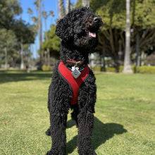 Load image into Gallery viewer, Cube Pro Key Finder Smart Tracker Bluetooth for Dogs, Kids, Cats,...