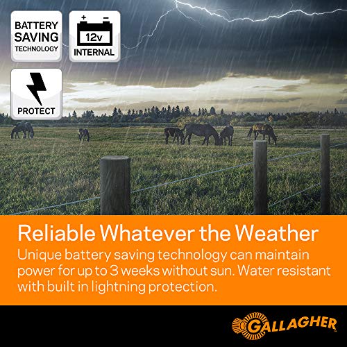 Gallagher S100 Solar Electric Fence Charger | Powers Up to 30 Mile / 100...