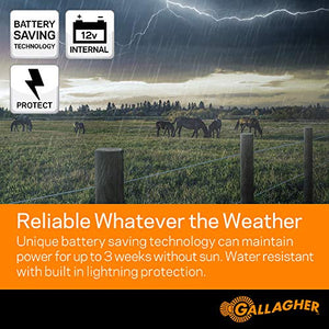 Gallagher S100 Solar Electric Fence Charger | Powers Up to 30 Mile / 100...