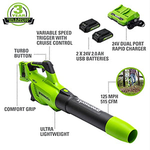 Greenworks 48V (2 x 24V) Cordless Axial Blower (125 MPH 2*2Ah Battery, Green