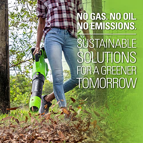 Greenworks 48V (2 x 24V) Cordless Axial Blower (125 MPH 2*2Ah Battery, Green