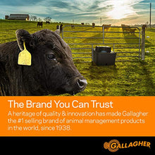 Load image into Gallery viewer, Gallagher S100 Solar Electric Fence Charger | Powers Up to 30 Mile / 100...