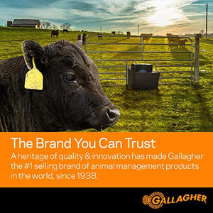 Gallagher S100 Solar Electric Fence Charger | Powers Up to 30 Mile / 100...