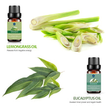 Load image into Gallery viewer, Lagunamoon Essential Oils Top 6 Gift Set Pure for Diffuser, Humidifier,...