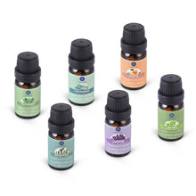 Load image into Gallery viewer, Lagunamoon Essential Oils Top 6 Gift Set Pure for Diffuser, Humidifier,...