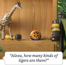 Load image into Gallery viewer, All-new Echo Dot (4th Gen) Kids Edition | Designed for kids, with Tiger