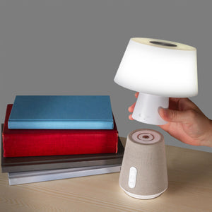 OttLite - Entertain LED Speaker Lamp - Gray and White