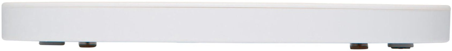Taylor - Touchless Tare Digital Kitchen Scale - White