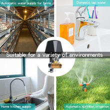 Load image into Gallery viewer, Smart Water Valve, Automatic Shut Ordinary smart water valve,