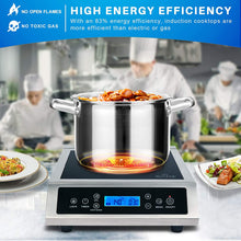 Load image into Gallery viewer, Duxtop Professional Portable Induction Cooktop, Commercial Range Silver/Black