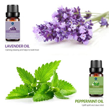 Load image into Gallery viewer, Lagunamoon Essential Oils Top 6 Gift Set Pure for Diffuser, Humidifier,...