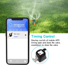 Load image into Gallery viewer, Smart Water Valve, Automatic Shut Ordinary smart water valve,